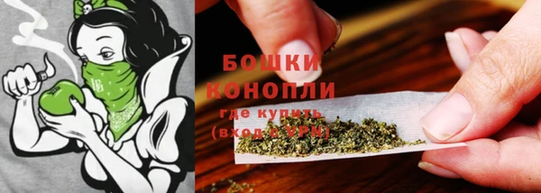винт Каменка