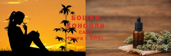 метадон Каменногорск