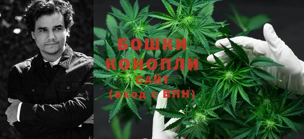 метадон Каменногорск