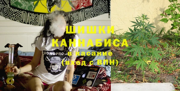 дживик Карпинск