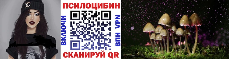 Псилоцибиновые грибы Psilocybe Гатчина